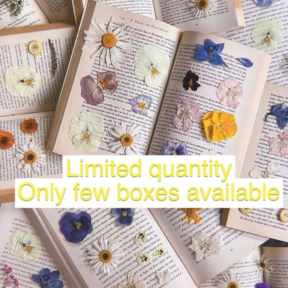 Sister Jane Cottagecore aesthetic Mystery Box - Picture 10 of 11